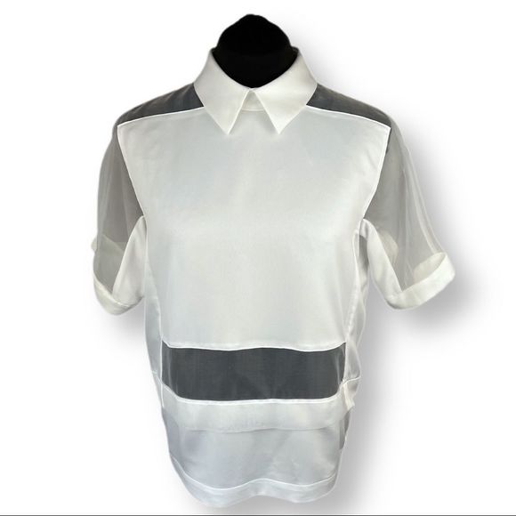 MO&co Ivory Sheer Illusion Blouse - Picture 1 of 10